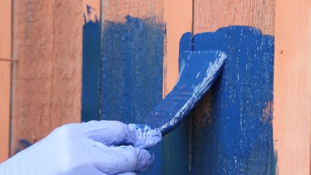 Pintura Madeira Mão Luva Borracha Azul Pinta Tábua Madeira Com — Vídeo de Stock