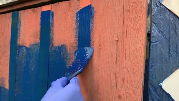 Malowanie Drewna Ręka Niebieskiej Gumowej Rękawicy Maluje Drewnianą Deskę Pędzlem — Wideo stockowe
