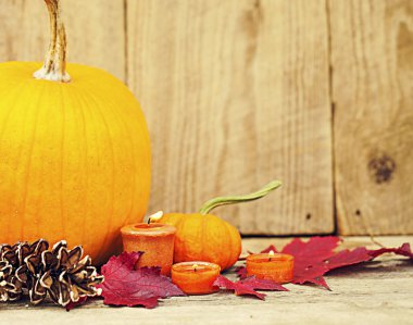 Sonbahar kabak Şükran günü dekorasyon