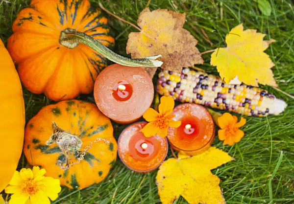 Herfst pompoen Thanksgiving decoratie — Stockfoto