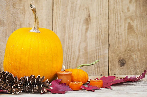 Herfst pompoen Thanksgiving decoratie — Stockfoto