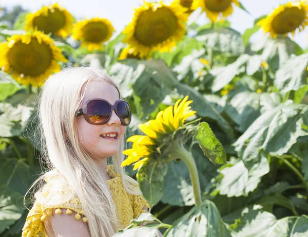 Chica entre girasoles — Foto de Stock