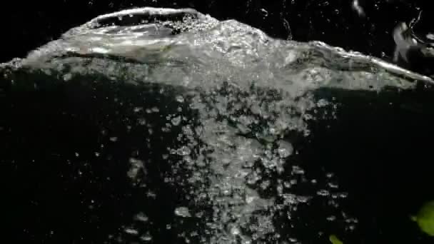 Свежие Огурцы Падают Воду Брызгами Черном Фоне Крупным Планом Замедленного — стоковое видео