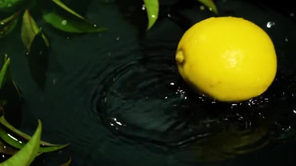 Лимонні Краплі Поверхні Води Бризкою Чорному Тлі Крупним Планом Повільний — стокове відео