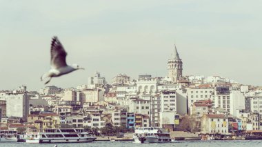 Eminönü manzarası, Istanbul Galata Kulesi manzarası. Ön planda altın boynuz üzerinde uçan martı.