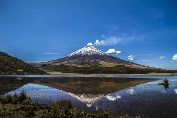 Cotopaxi volkan Ekvator