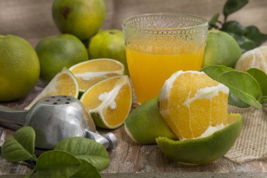 zengin portakal suyu - Citrus sinensis