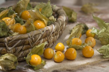 zengin cape Bektaşi üzümü suyu, zengin C vitamini - Physalis peruviana