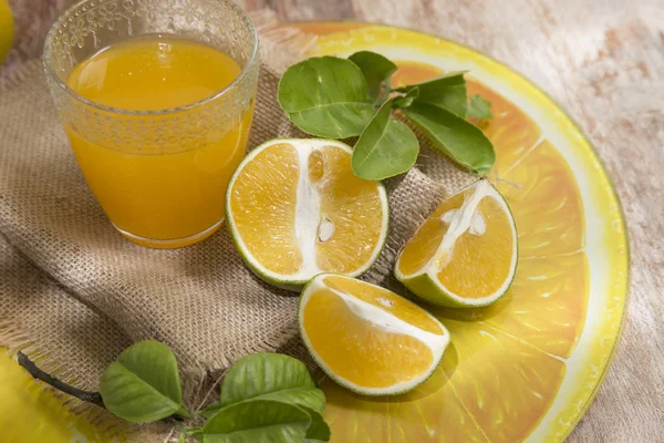 zengin portakal suyu - Citrus sinensis