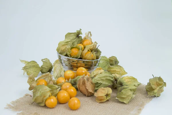 zengin cape Bektaşi üzümü suyu, zengin C vitamini - Physalis peruviana