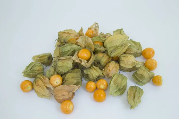 zengin cape Bektaşi üzümü suyu, zengin C vitamini - Physalis peruviana