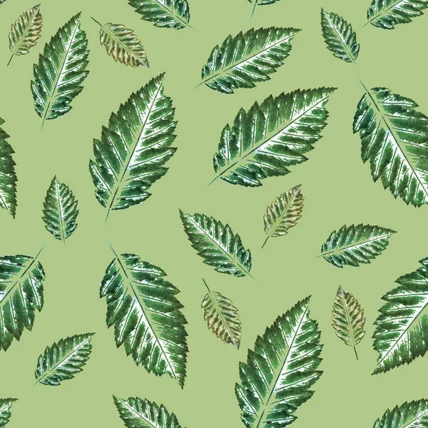 On a light green background, a seamless pattern isoquatic prints of green leaves of different shades.