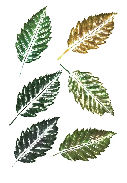 Watercolor Prints Green Gold Leaves Isolated White Background — Stock Photo, Image