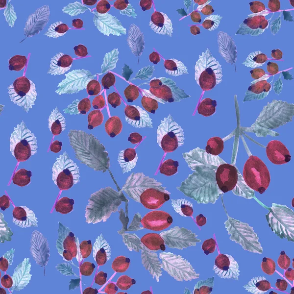 Açık mavi arka planı üzerinde çizim dalları ile kırmızı Kuşburnu ve beyaz, gri, yeşil yapraklar sulu boya vardır. Sorunsuz süsleme.