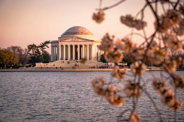 Washington, Dc Cherry Blossom Festivali ve Jefferson Anıtı