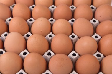 Yemek pişirmek için kahverengi tarladan taze yumurta