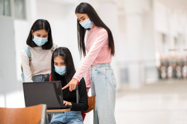 Bir grup kız öğrenci üniversitede verilerini dizüstü bilgisayarla çizmiş.