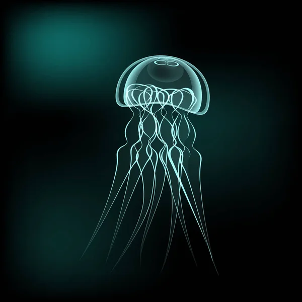 Jellyfish medusa vector illustration — Stock Vector
