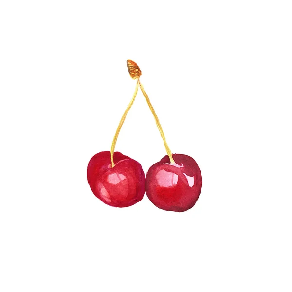 Cherry berry watercolor — Stock Photo, Image