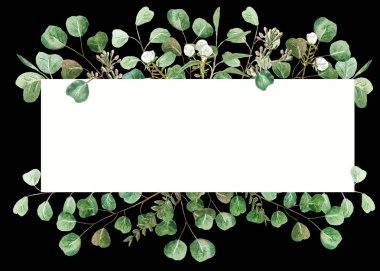 Okaliptüs çerçeve siyah arka plan üzerine