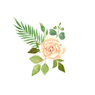 Gül çiçek suluboya kompozisyon