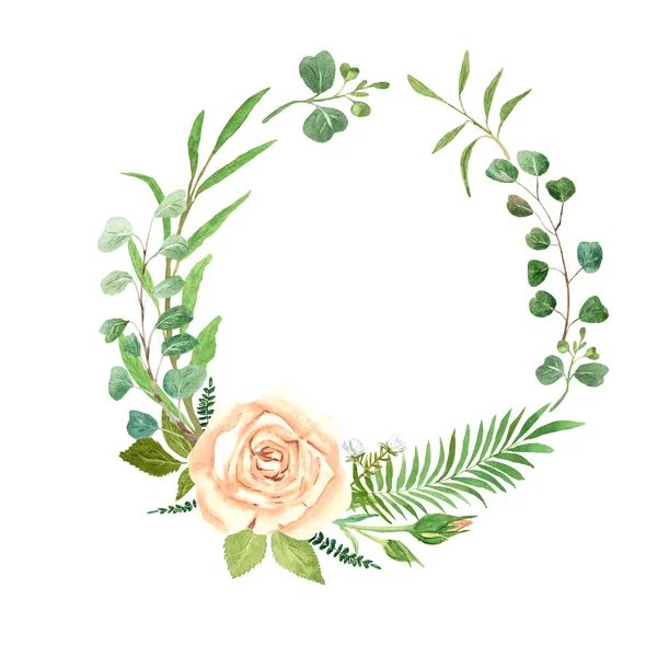 Watercolor Wreath Rose Eucalyptus — Stock Photo, Image