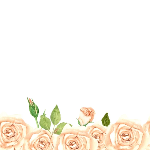 Watercolor rose seamless border — Stock Photo, Image