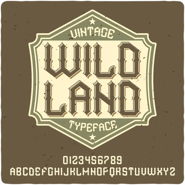 Originele Label Lettertype Genaamd Wild Land Goede Handgemaakte Lettertype Voor — Stockvector