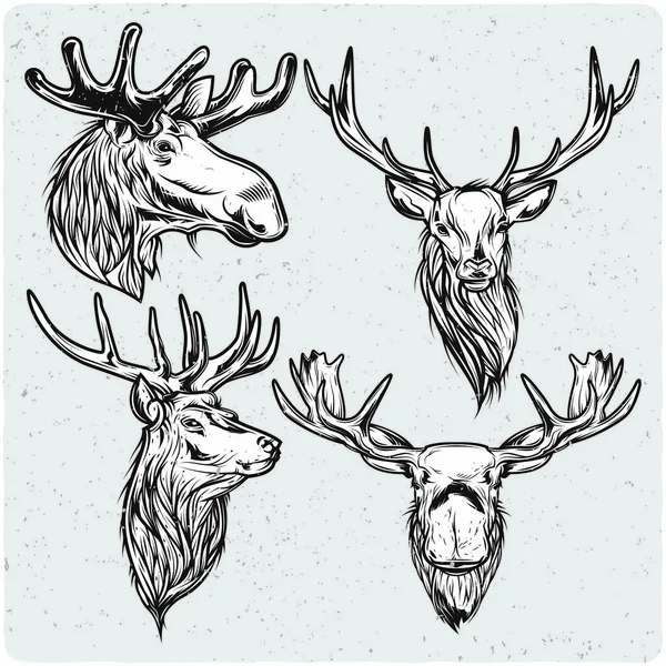 Deer Amd Moose Set Black White Illustration Isolated Light Backgrond — Stock Vector