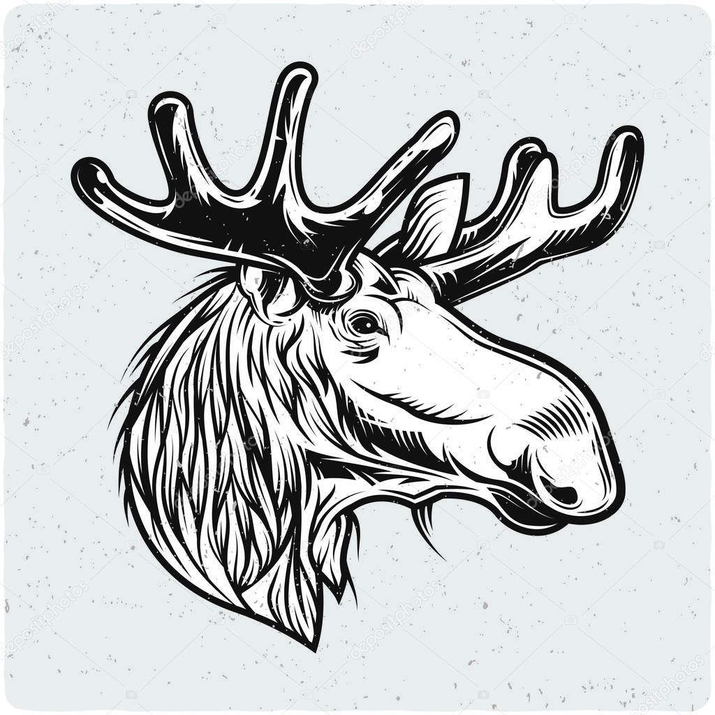 Moose head. Black and white illustration. Isolated on light backgrond with grunge noise and frame.