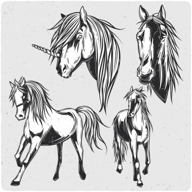 Atları ayarlayın. Siyah beyaz resim. Grunge gürültü ve çerçeve ile hafif backgrond izole.