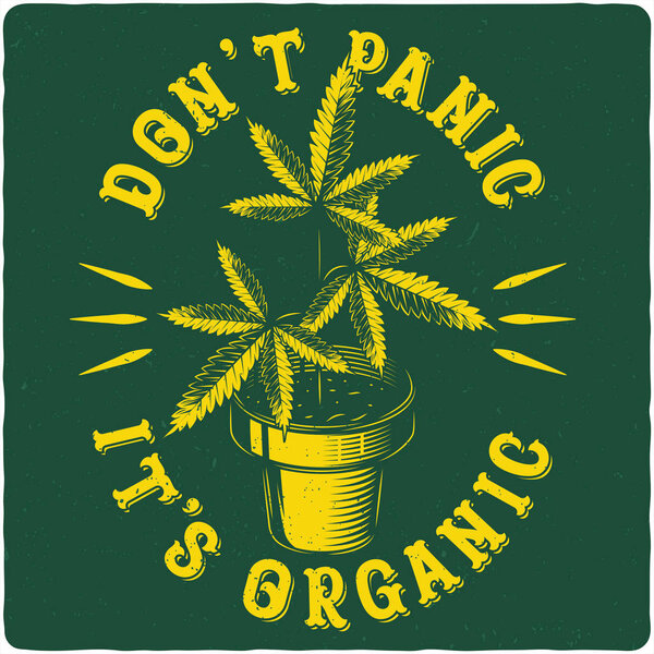 T-shirt or poster design with illustration of Cannabis in a pot. Label design with text composition.