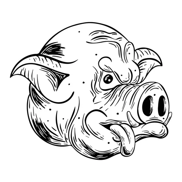 Cap Porc Ilustrație Alb Negru Izolat Backgrond Deschis — Vector de stoc