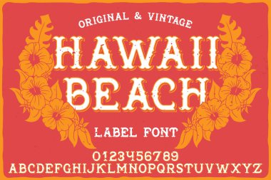 Hawaii Beach adında vintage etiket fontu. Harfler ve sayılar ayarlandı. İllüstrasyon ve metin kompozisyonu ile etiket.