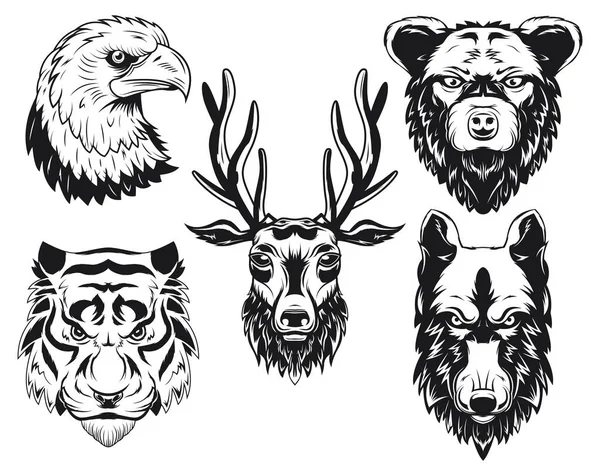 Isolated Illustrations Set Deer Tiger Wolf Bear Eagle — Stock Vector