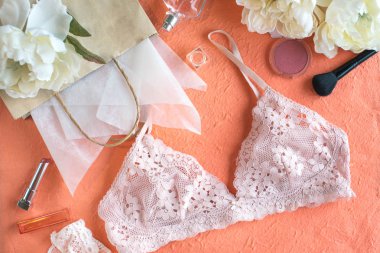 Sutyen ve kağıt çanta pic renk arka plan üzerinde pembe. Hediyelik