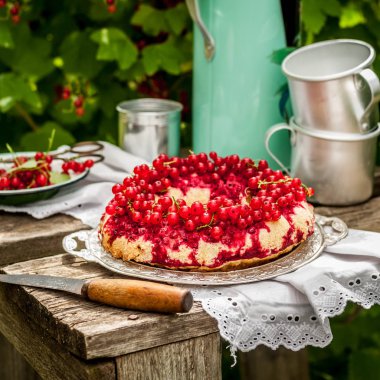 Kırmızı Frenk Üzümü Baş Aşağı Bundt Kek