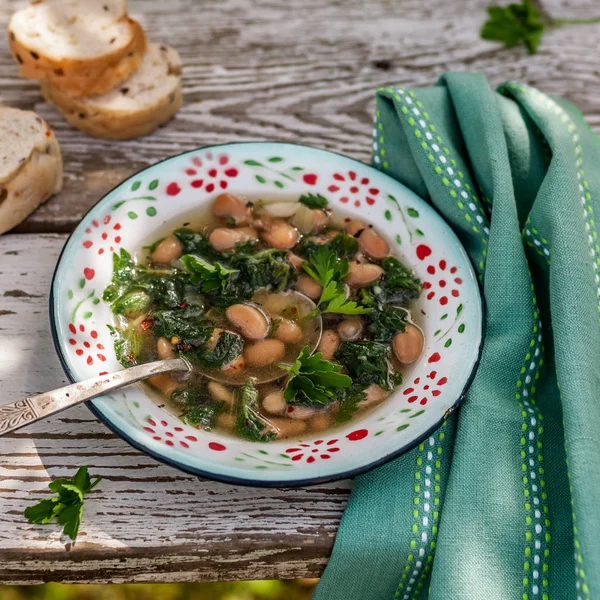 Nettle and White Bean Soup — Stock Image Nettle and White Bean Soup Stock Picture