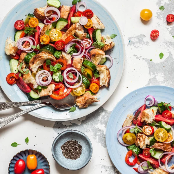 Panzanella, Italian Bread Salad — Stock Photo, Image