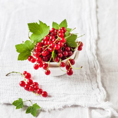 Beyaz Arka Plan Üzerinde Kırmızı FrenK Üzümü