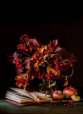 Guelder Rose Berry ve Apple Natürmort