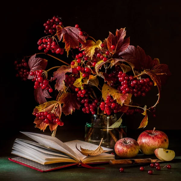 Guelder Rose Berry and Apple Still Life — Stock Photo, Image