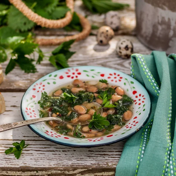 Nettle and White Bean Soup — Stock Photo, Image