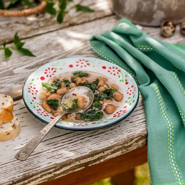 Nettle and White Bean Soup — Stock Image Nettle and White Bean Soup Royalty Free Stock Images