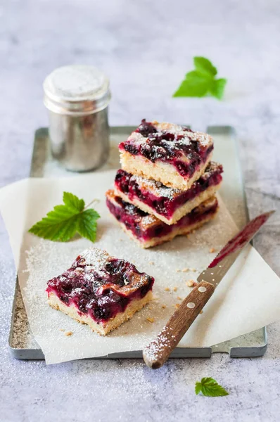 Slices of Black Currant Pie on a Tray — Stock Photo, Image