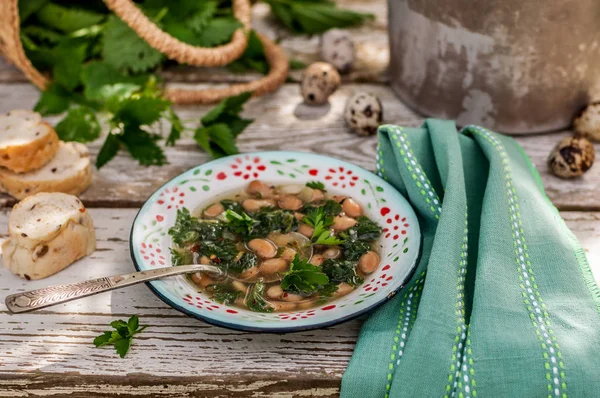 Nettle and White Bean Soup — Stock Image Nettle and White Bean Soup Royalty Free Stock Photos
