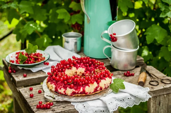 Red Currant Upside Down Bundt Cake — Stock Photo, Image