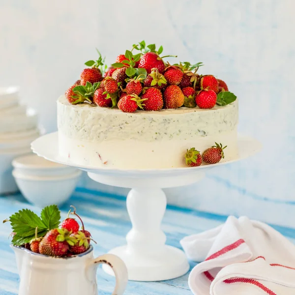 イチゴとバジルのアイスクリームケーキ — ストック写真