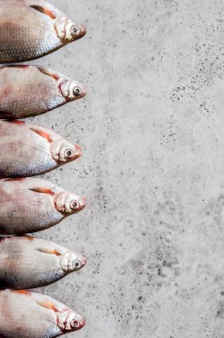 Nehir Balığı Arkaplanı, metin için alanı kopyala