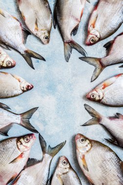 Nehir Balığı Arkaplanı, metin için alanı kopyala